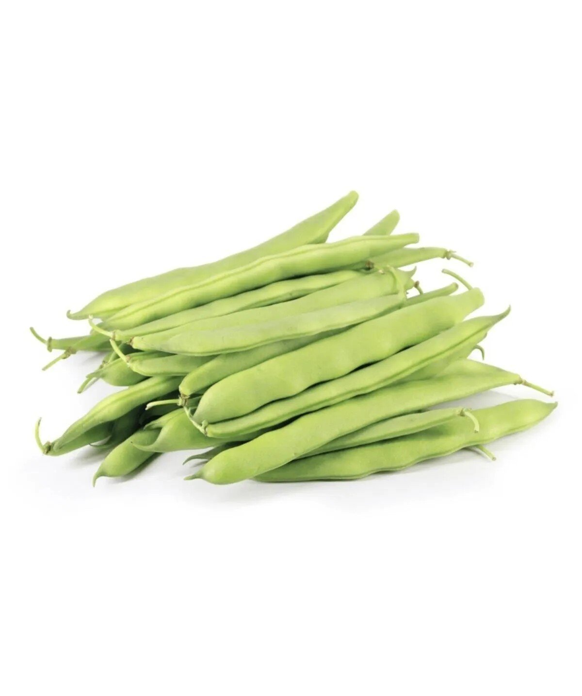 Şeker Ayşe  Fasulye KG