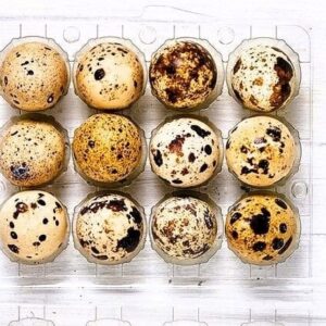 Farmbella Bıldırcın  Yumurta  12'Li