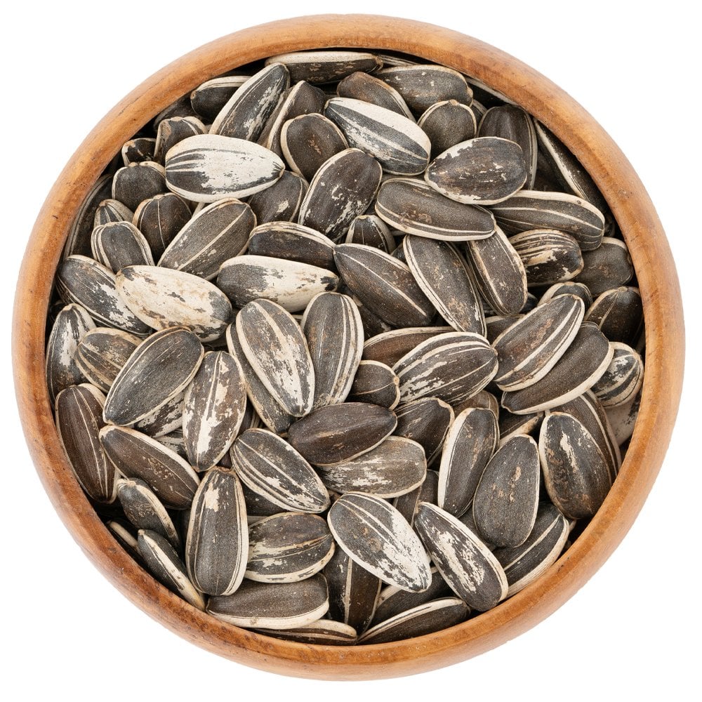 K.Y Dakota Ayçekirdeği  KG