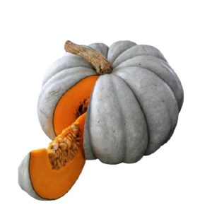 Tatlı Bal Kabağı  KG