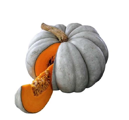 Tatlı Bal Kabağı  KG