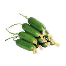 Çengelköy Badem Salatalı